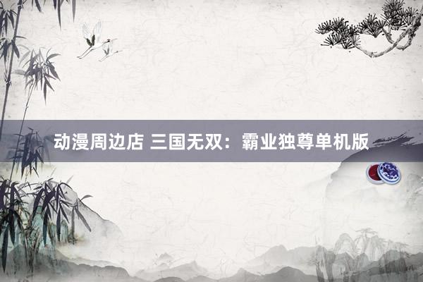 动漫周边店 三国无双：霸业独尊单机版