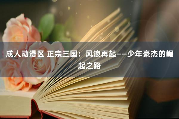 成人动漫区 正宗三国：风浪再起——少年豪杰的崛起之路