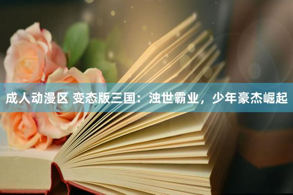 成人动漫区 变态版三国：浊世霸业，少年豪杰崛起