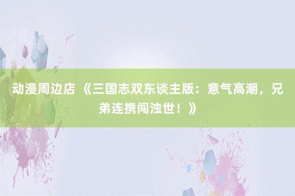 动漫周边店 《三国志双东谈主版：意气高潮，兄弟连携闯浊世！》