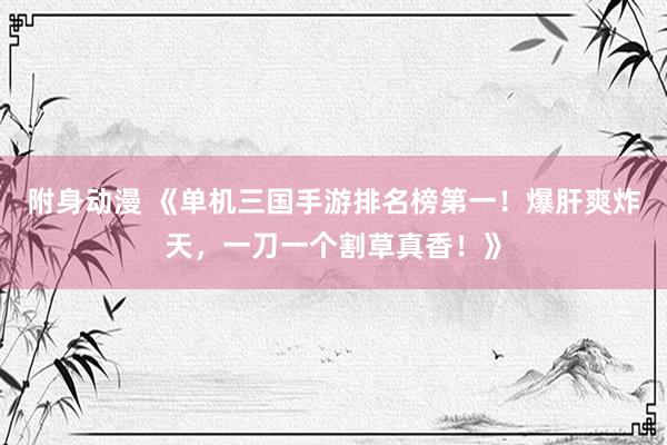 附身动漫 《单机三国手游排名榜第一！爆肝爽炸天，一刀一个割草真香！》