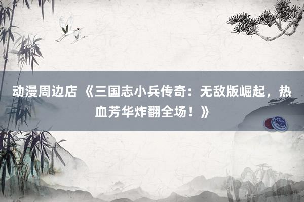 动漫周边店 《三国志小兵传奇：无敌版崛起，热血芳华炸翻全场！》
