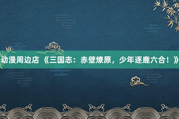 动漫周边店 《三国志：赤壁燎原，少年逐鹿六合！》