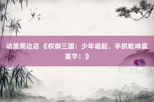 动漫周边店 《权御三国：少年崛起，手抓乾坤震寰宇！》