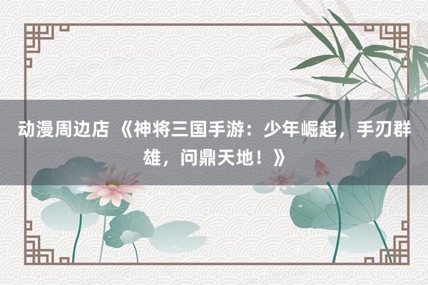 动漫周边店 《神将三国手游：少年崛起，手刃群雄，问鼎天地！》