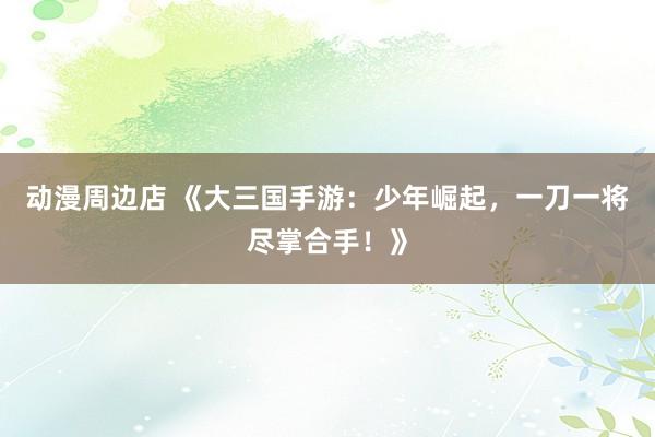 动漫周边店 《大三国手游：少年崛起，一刀一将尽掌合手！》