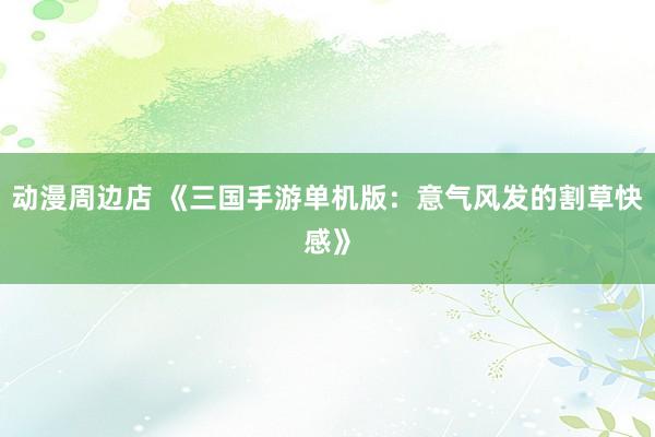 动漫周边店 《三国手游单机版：意气风发的割草快感》