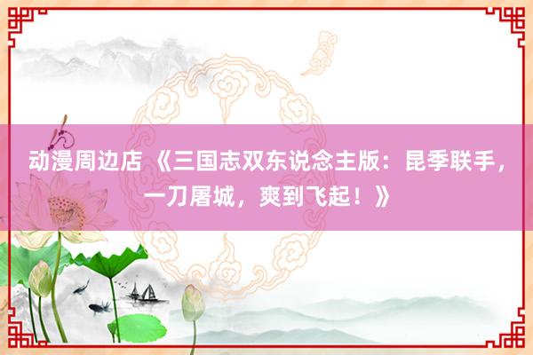 动漫周边店 《三国志双东说念主版：昆季联手，一刀屠城，爽到飞起！》