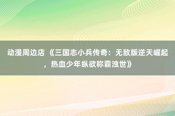 动漫周边店 《三国志小兵传奇：无敌版逆天崛起，热血少年纵欲称霸浊世》
